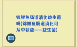 锦鲤鱼肠道消化益生菌吗(锦鲤鱼肠道消化可从中获益——益生菌)