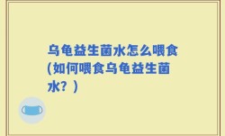 乌龟益生菌水怎么喂食(如何喂食乌龟益生菌水？)