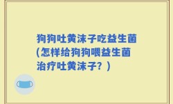 狗狗吐黄沫子吃益生菌(怎样给狗狗喂益生菌治疗吐黄沫子？)