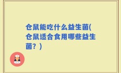 仓鼠能吃什么益生菌(仓鼠适合食用哪些益生菌？)