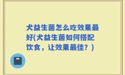 犬益生菌怎么吃效果最好(犬益生菌如何搭配饮食，让效果最佳？)