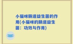 小猫咪肠道益生菌的作用(小猫咪的肠道益生菌：功效与作用)