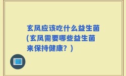 玄凤应该吃什么益生菌(玄凤需要哪些益生菌来保持健康？)