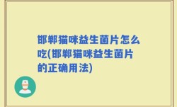 邯郸猫咪益生菌片怎么吃(邯郸猫咪益生菌片的正确用法)