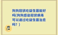 狗狗冠状吃益生菌能好吗(狗狗感染冠状病毒可以通过吃益生菌治愈吗？)