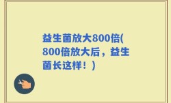 益生菌放大800倍(800倍放大后，益生菌长这样！)