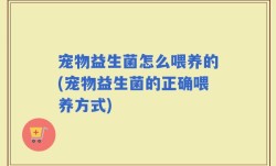 宠物益生菌怎么喂养的(宠物益生菌的正确喂养方式)