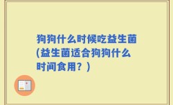 狗狗什么时候吃益生菌(益生菌适合狗狗什么时间食用？)