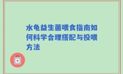 水龟益生菌喂食指南如何科学合理搭配与投喂方法