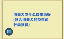 博美犬吃什么益生菌好(适合博美犬的益生菌种类推荐)