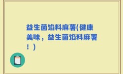 益生菌馅料麻薯(健康美味，益生菌馅料麻薯！)