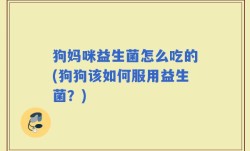 狗妈咪益生菌怎么吃的(狗狗该如何服用益生菌？)