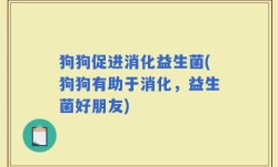 狗狗促进消化益生菌(狗狗有助于消化，益生菌好朋友)