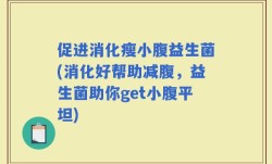 促进消化瘦小腹益生菌(消化好帮助减腹，益生菌助你get小腹平坦)