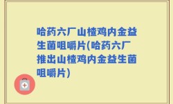 哈药六厂山楂鸡内金益生菌咀嚼片(哈药六厂推出山楂鸡内金益生菌咀嚼片)