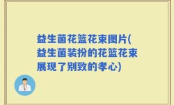 益生菌花篮花束图片(益生菌装扮的花篮花束展现了别致的孝心)