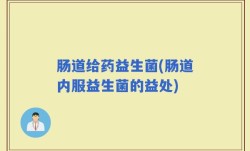 肠道给药益生菌(肠道内服益生菌的益处)