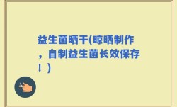 益生菌晒干(晾晒制作，自制益生菌长效保存！)