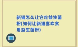 新猫怎么让它吃益生菌粉(如何让新猫喜欢食用益生菌粉)