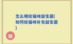 怎么喂给猫咪益生菌(如何给猫咪补充益生菌)
