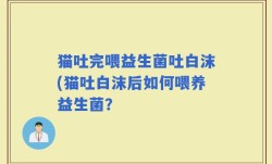 猫吐完喂益生菌吐白沫(猫吐白沫后如何喂养益生菌？