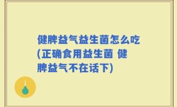 健脾益气益生菌怎么吃(正确食用益生菌 健脾益气不在话下)