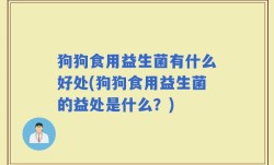 狗狗食用益生菌有什么好处(狗狗食用益生菌的益处是什么？)