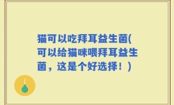 猫可以吃拜耳益生菌(可以给猫咪喂拜耳益生菌，这是个好选择！)