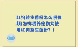 红狗益生菌粉怎么喂视频(怎样喂养宠物犬使用红狗益生菌粉？)