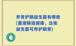 养胃护肠益生菌有哪些(重建肠道健康，这些益生菌可养护肠胃)
