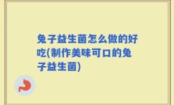 兔子益生菌怎么做的好吃(制作美味可口的兔子益生菌)