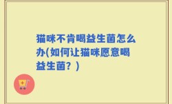 猫咪不肯喝益生菌怎么办(如何让猫咪愿意喝益生菌？)