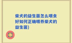 柴犬的益生菌怎么喂食好如何正确喂养柴犬的益生菌)