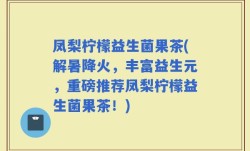 凤梨柠檬益生菌果茶(解暑降火，丰富益生元，重磅推荐凤梨柠檬益生菌果茶！)
