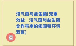 沼气茵与益生菌(双重效益：沼气茵与益生菌合作带来的能源和环境双赢)