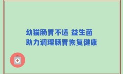 幼猫肠胃不适 益生菌助力调理肠胃恢复健康