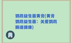 鹦鹉益生菌黄膏(黄膏鹦鹉益生菌：关爱鹦鹉肠道健康)