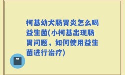 柯基幼犬肠胃炎怎么喝益生菌(小柯基出现肠胃问题，如何使用益生菌进行治疗)