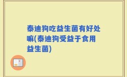 泰迪狗吃益生菌有好处嘛(泰迪狗受益于食用益生菌)