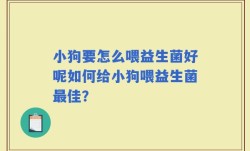 小狗要怎么喂益生菌好呢如何给小狗喂益生菌最佳？