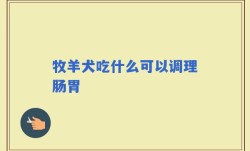 牧羊犬吃什么可以调理肠胃