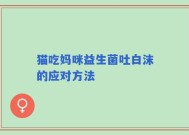 猫吃妈咪益生菌吐白沫的应对方法