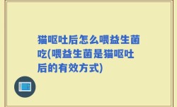 猫呕吐后怎么喂益生菌吃(喂益生菌是猫呕吐后的有效方式)