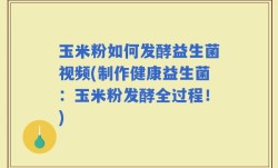 玉米粉如何发酵益生菌视频(制作健康益生菌：玉米粉发酵全过程！)