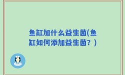 鱼缸加什么益生菌(鱼缸如何添加益生菌？)