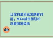 让你的爱犬远离肠胃问题，MAG益生菌轻松改善肠道吸收