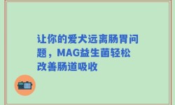 让你的爱犬远离肠胃问题，MAG益生菌轻松改善肠道吸收