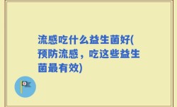 流感吃什么益生菌好(预防流感，吃这些益生菌最有效)