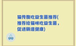 猫传腹吃益生菌推荐(推荐给猫咪吃益生菌，促进肠道健康)