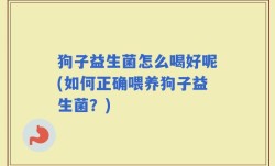 狗子益生菌怎么喝好呢(如何正确喂养狗子益生菌？)